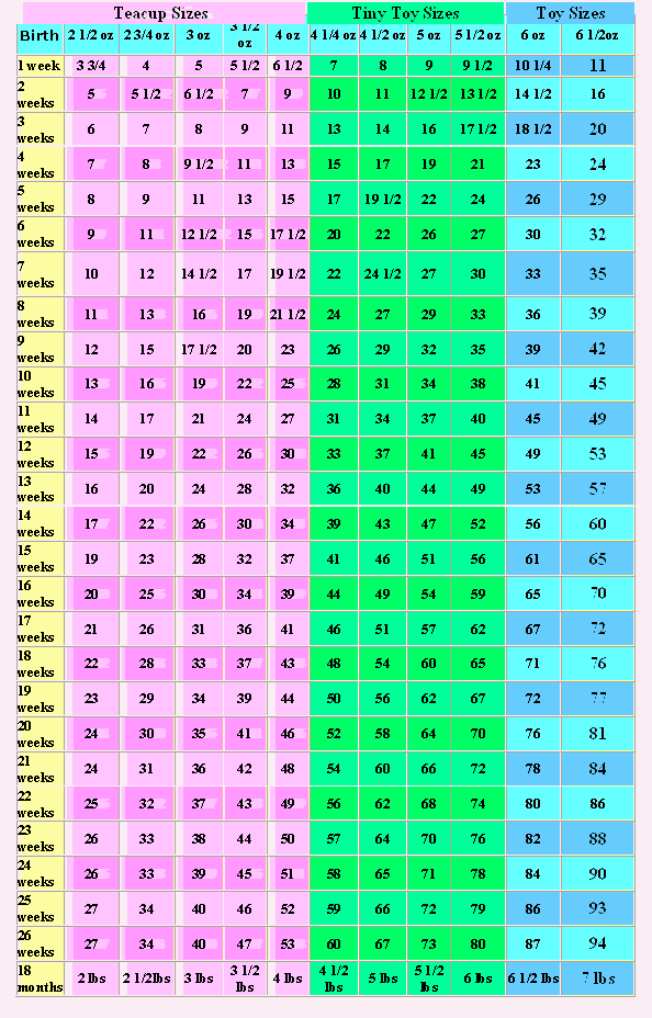 Poodle Weight Chart