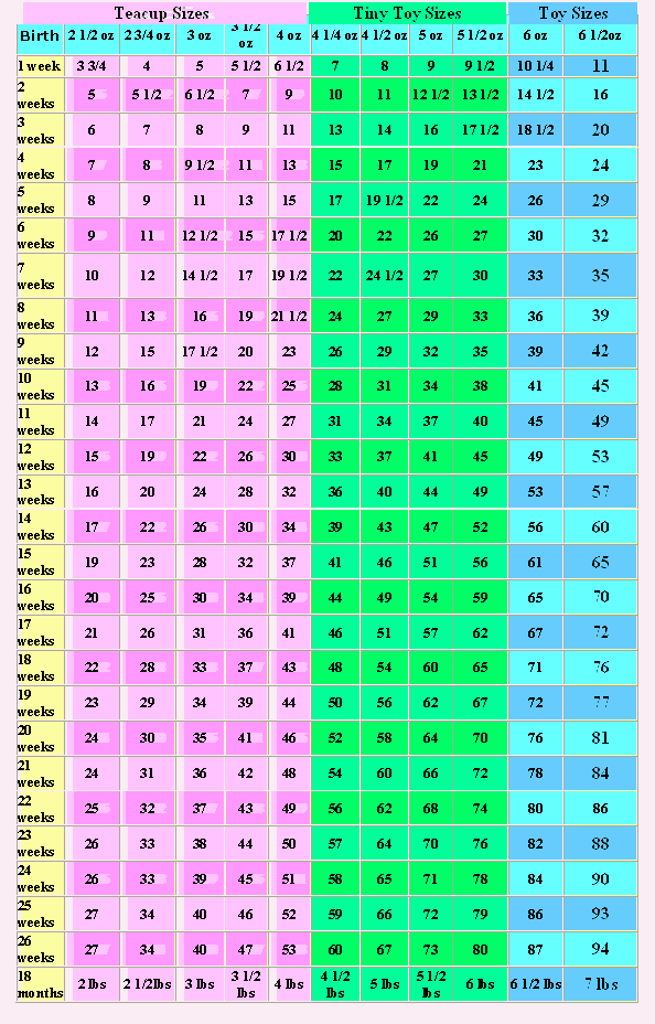 Miniature Poodle Weight Growth Charts